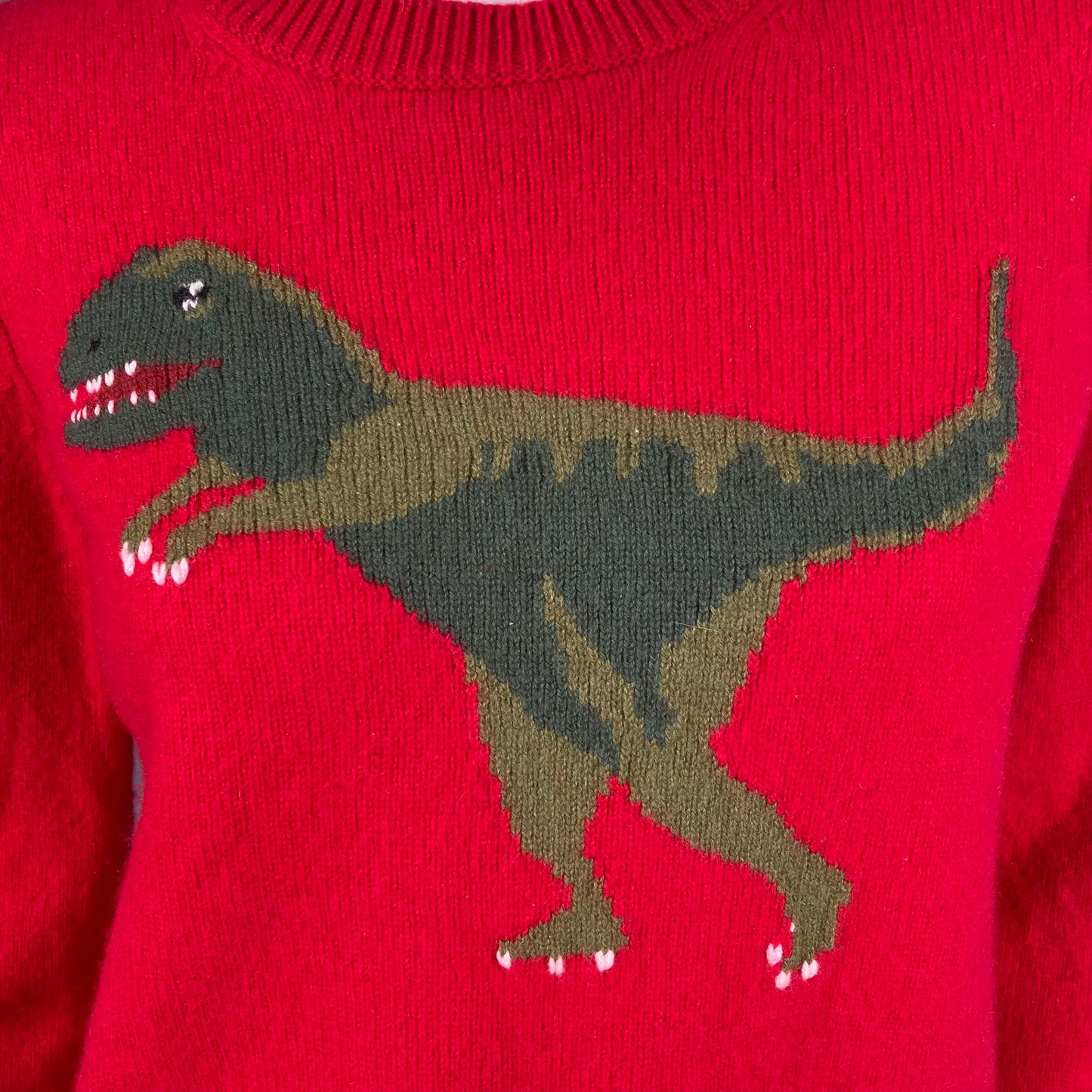 Coach Cashmere Rexy Sweater